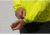 Montane Alpine Edge Jacket - Mens, Citrus Green, Extra Large, MAEDJCITX09