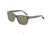 Morgan Prescription Sunglasses 207167 Bifocal Black Frame Brown Lens