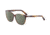 Morgan 207195 Sunglasses, Brown Havana Frame, Green Lens, 207195-6311