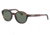 Morgan 207139 Bifocal Prescription Sunglasses - Brown Frame and Grey Green Lens 207139-6156BI