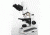 Motic Instruments Digital Compound Microscopes, Motic DB86.535.101 Laboratory Microscope, Planachromatic