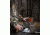 Moultrie Feeders M-40 Trail Camera 16 MP, Camo, MCG-13181