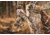 Moultrie Feeders Micro-32i Kit, 2 Pack, Green, MCG-14074