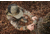 Moultrie Feeders Micro-32i Kit, 2 Pack, Green, MCG-14074