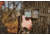 Moultrie Feeders Micro-32i Kit, 2 Pack, Green, MCG-14074