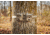 Moultrie Feeders Micro-32i Kit, 2 Pack, Green, MCG-14074