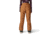 Mountain Hardwear Cloud Bank GORE-TEX Pant - Womens, Copper Clay, Extra Large, 2092461257-XL-R