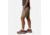Mountain Hardwear Dynama/2 Bermuda - Womens, Khaki, Large, 1880761297-L