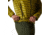 Mountain Hardwear Ghost Whisperer/2 Jacket - Mens, Moon Moss, Medium, 1871621356-M