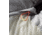 Mountain Hardwear Ghoul 20F/-7C Short Sleeping Bag