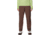 Mountain Hardwear Stryder Lined Pants - Womens