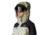 Mountain Hardwear Powder Maven Parka - Womens, White Sage, Mantis Green, Black, Small, 2092921341-S