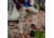 Mountain Khakis Mountain Pant Classic Fit - Mens, Tobacco, 38x36, E33254TOBACCO3836