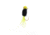 Mr. Crappie by Strike King Slab Daddy Live Hair, Hair Jig Fishing Lure, Tuxedo Black Chartreuse, 1/8oz, 2-Pack, MRCSBLHJ18-183, MRCSBLHJ18-183