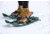 MSR Evo Trail Snowshoes, Ranger, 22 in, 13619