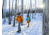 MSR Lightning Trail Snowshoes - Mens