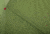 MSR S25 Elixir 4 Tent, Moss, 4, 13701