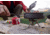 MSR WindPro II Stove, 14046, 14046