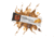 MTN OPS Performance Protein Bar