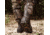 Muck Boots Woody Max RT Edge - Men's, Bark/Mossy Oak Break Up Country Mini, 15, WDM-MOCT-MOK-150