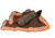 Mud River Cache Cushion, Brown/Orange MR0052