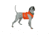 Mud River Upland Dog Chest Guard, Orange, Medium, 18571
