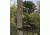 Muddy Odyssey Ladderstand, Black/Camo, MLS1750
