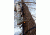 Muddy Outfitter Sticks, includes Silent cam-buckle fastening straps, Black MCS1000