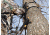 Muddy Outfitter Sticks, includes Silent cam-buckle fastening straps, Black MCS1000