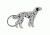 Munkees Bottle Opener - Dalmatian 3451