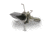 Muzzy SG-X Small Game Head, 125 gr. 3 pk., 113