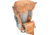 Mystery Ranch Bridger 35 Backpack - Mens, Fox, Extra Large, 112817-213-50
