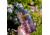 Nalgene Narrow Mouth 1 Quart Sustain Water Bottle, 32 oz, Aubergine, 2020-1032