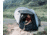 Napier Sportz Cove Tent, Small to Mid-Sized SUV/CUV, Black/Gray, 61000