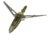 New Archery Products Killzone Maxx C.O.C., Broadhead 100 gr. 3 pk, 60-812