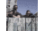 NEW Firefield Sightmark 3x Tactical Magnifier, Black for Weapon Sights SM19020