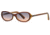 Nicole Miller Carrie On SENM CARR06 Sunglasses - Bronze SENM CARR065235 BN