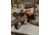 NIGHT PEARL Vulturis T6 5-30x56mm, 34mm Tube Rifle Scope, First Focal Plane, 6, Black, 2NPVULTURIS5-30X56I