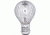 Nikon Microscope Bulb F/AlphaPhot-2 115V/30W MXA20450 