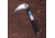 Nisaku KOGAMA Stainless Steel Weed Scraper, 4.5-Inch Blade, Silver, Small NJP115