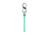 Nite Ize Cinch-A-Lot Mini Stretch Strap, Mint, Mini, CALS-70-R3