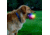Nite Ize Glowstreak Wild Led Ball - Disc-o - GSBW-07-R8