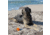 Nite Ize Orange Screw Large Ultimate Ground Anchor - 2 Pack