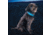 Nite Ize Nitedog LED Collar Cover, N05462