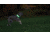 Nite Ize Nitedog LED Collar Cover, N05462
