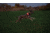 Nite Ize Nitedog LED Collar Cover, N05462