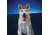 Nite Ize NiteHowl LED Dog Safety Necklace, Orange, NHO-19-R3