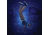 Nite Ize NiteLife LED Necklace, Blue, NHOH-03-R3