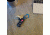 Nite Ize SlideLock Carabiner Aluminum No2, Blue, CSLA2-03-R6