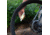 Nite Ize SpokeLit Rechargeable Wheel Light, Disc-O Tech, SKL2SR-07S-R6